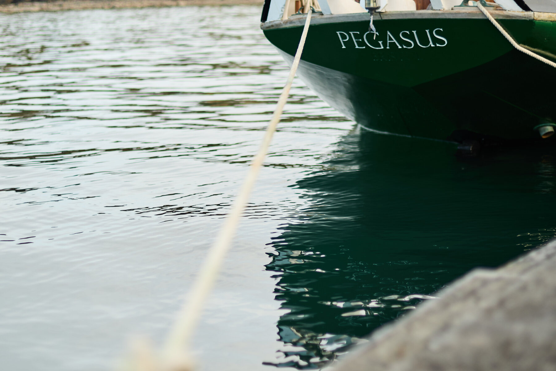 Pegasus au port