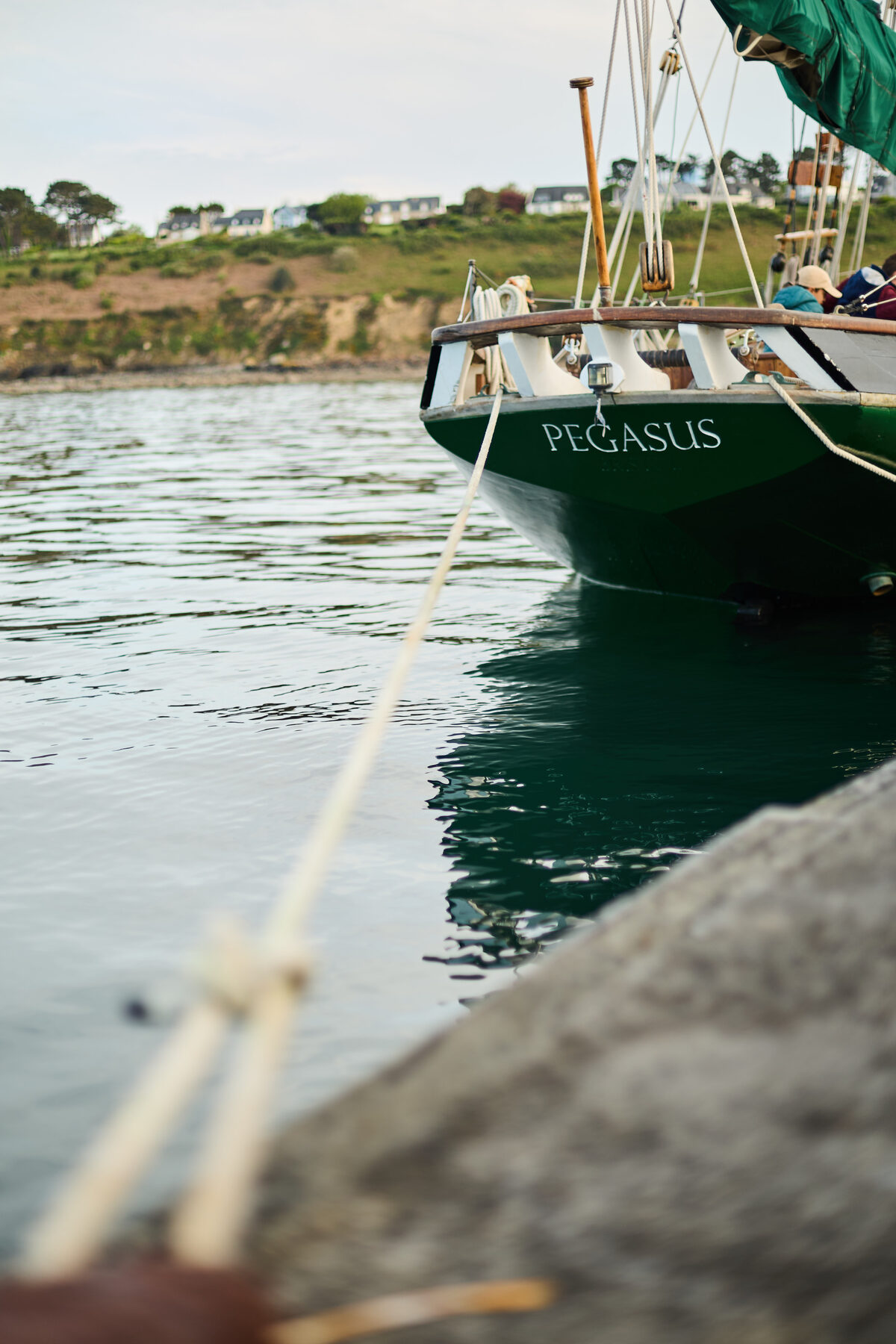 Pegasus sur l'eau en mer d'Iroise